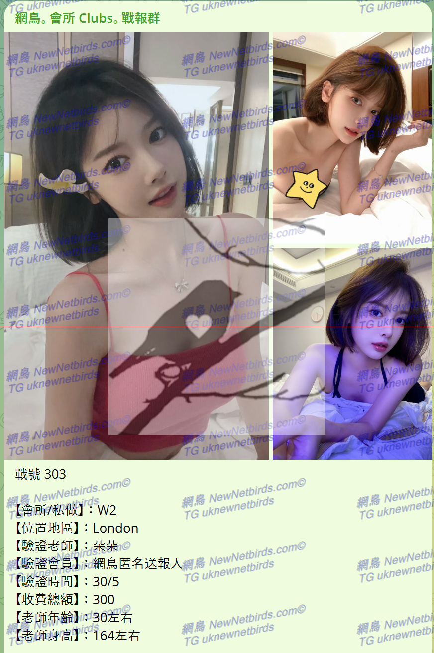 戰號 303 1.png